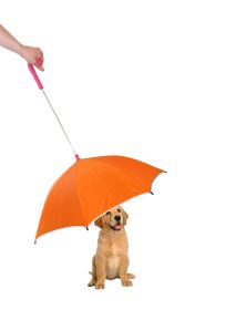 Pour-Protection Umbrella With Reflective Lining And Leash Holder (SKU: 1UMBORD)